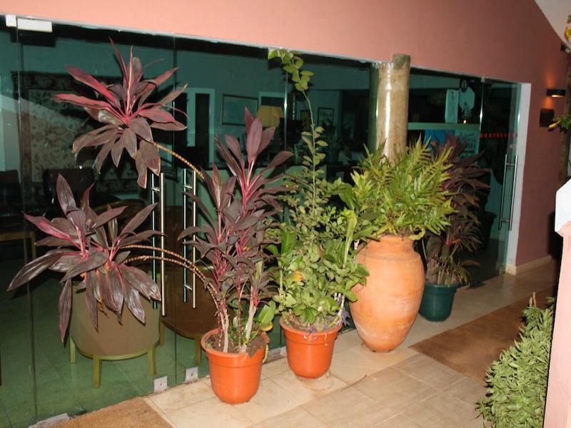 ביסאו Coimbra Hotel & Spa מראה חיצוני תמונה